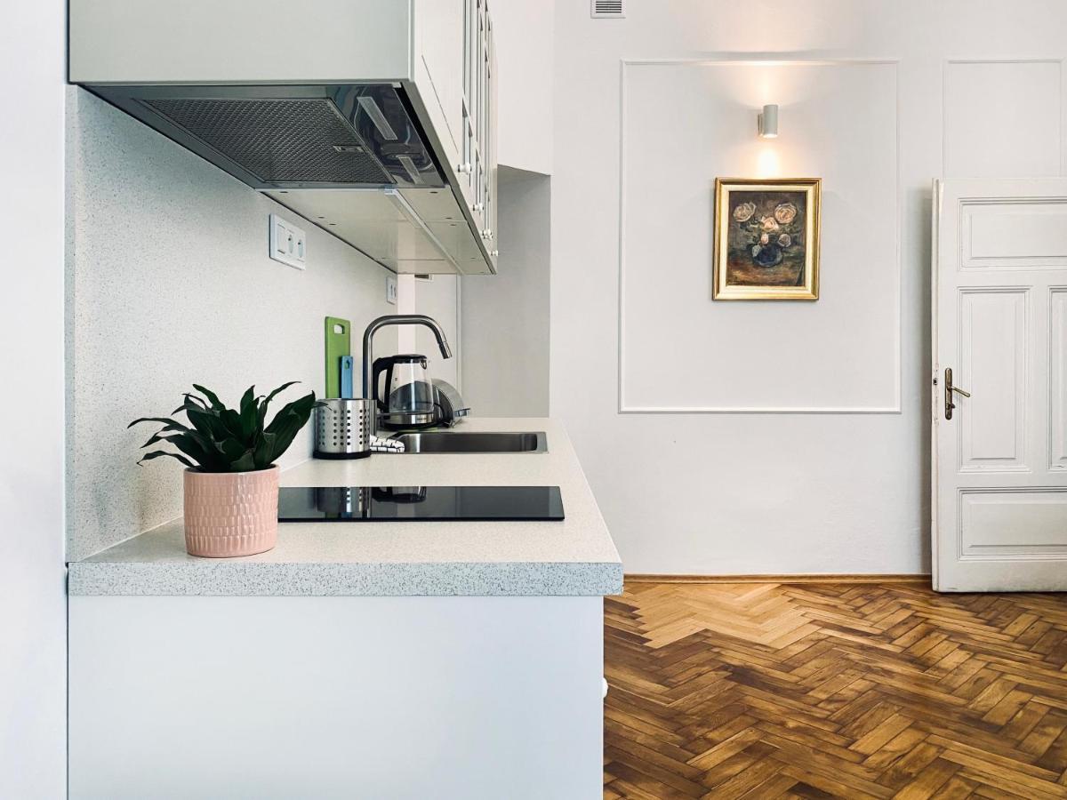 Beautiful Apartment With Two Rooms, Cracow Old Town Krakkó Kültér fotó